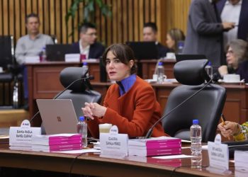 El INE está en situación crítica por falta de recursos; Dania Ravel