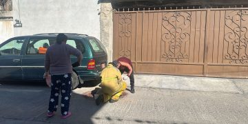 Conmociona crueldad animal en Ixmiquilpan