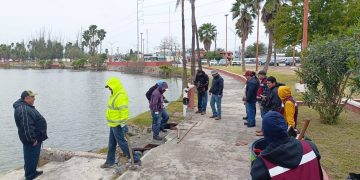 Frío mata a peces en lago de Matamoros, los recogen para evitar contaminación