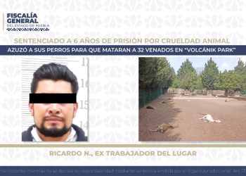 Sentencian a 6 años de prisión a hombre por crueldad animal