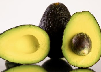 Aguacateros mexicanos confían que exportaciones a EU sigan por “buen camino”