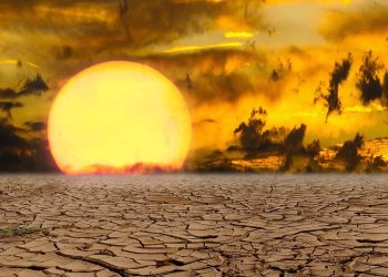 El planeta experimentó 1,55 ºC más de temperatura en 2024, según el dato de la OMM