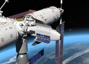 Peces sobreviven 43 días en la estación espacial china, un récord hasta la fecha
