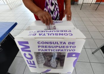 Aprueban boletas para Consulta del Presupuesto Participativo