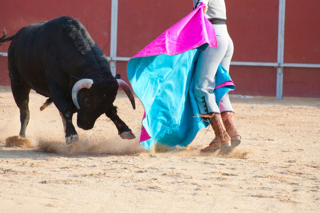 Corridas de toros