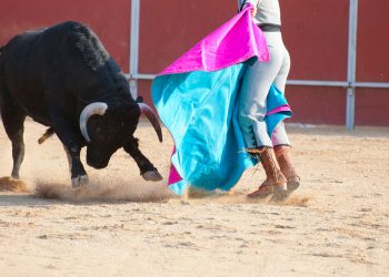 Verde Ecologista acusa tácticas dilatorias para avanzar en prohibir corridas de toros