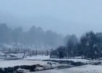 Durango se viste de blanco por caída de nieve