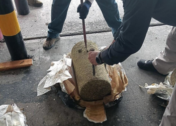 México asegura más de media tonelada de marihuana con destino a República Dominicana