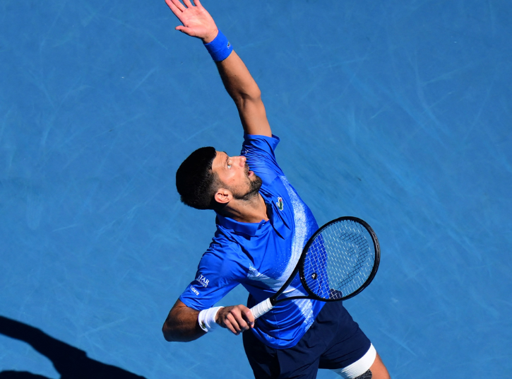 novak