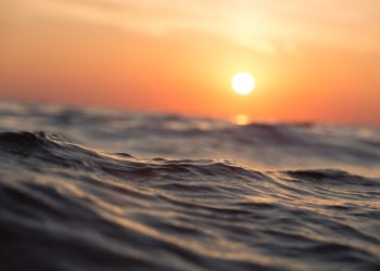 La superficie del océano se calienta cuatro veces más rápido que en los años 80