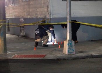 Tiroteo masivo en Montenegro deja al menos 10 muertos en club nocturno de Queens, NY