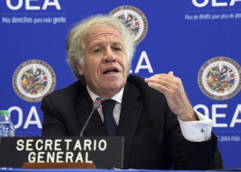 OEA exige la liberación “inmediata” del yerno de Edmundo González Urrutia