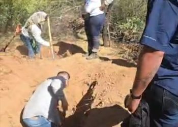 Encuentran fosas clandestinas con 26 cuerpos en Hermosillo, Sonora