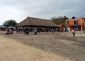 Un león mata a su cuidador en un zoológico de Tamaulipas
