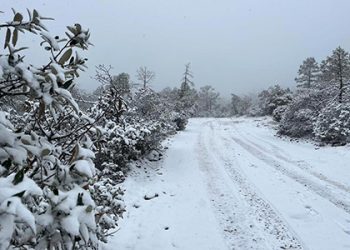 Cancelan clases presenciales por tormenta invernal en Chihuahua