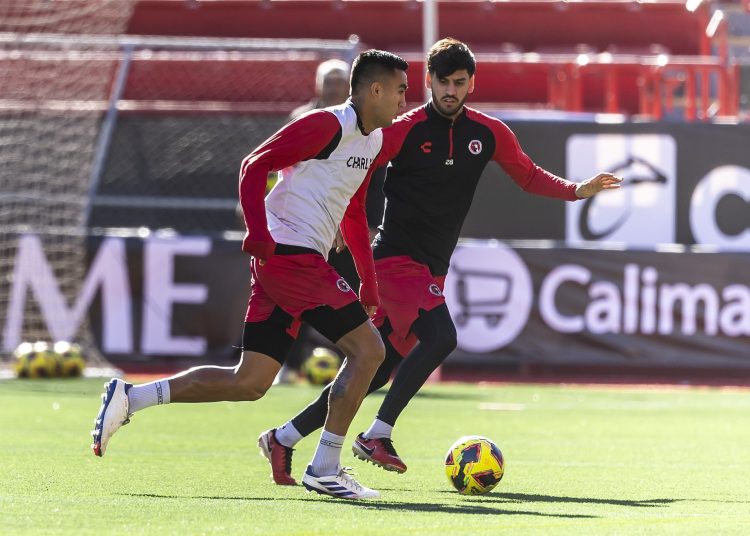xolos