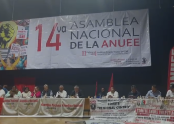Tarifa social justa y energía eléctrica como derecho humano prevé ANUEE para 2025