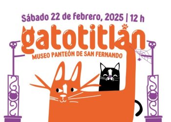 Día del Gato: No dejes de ir al Festival Gatotitlán 2025