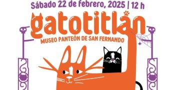 Día del Gato: No dejes de ir al Festival Gatotitlán 2025
