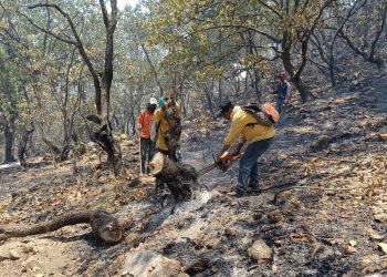 Veracruz se reporta preparado para enfrentar temporada de incendios forestales