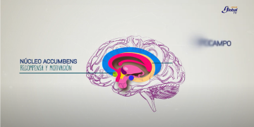 ¡Te amo con todo mi cerebro!