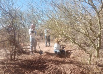 Confirman hallazgo de 43 cuerpos y restos óseos en fosas clandestinas en Hermosillo, Sonora