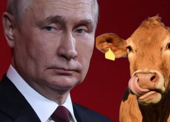 Vladimir Putin quiere llevar una vaca a Marte