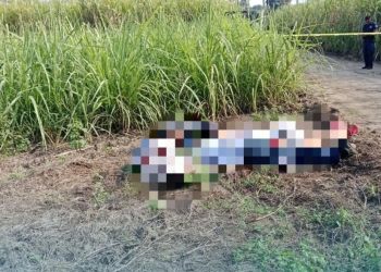 Hallan muertos a cuatro trabajadores de CFE en frontera entre Oaxaca y Veracruz