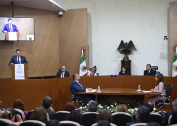 La Elección Judicial va, nada la detiene y llegará a buen puerto; magistrada Mónica Soto