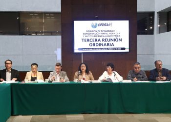 Aprueba Comisión reforma que sustituye en ley el término “discapacitados” por “personas con discapacidad”