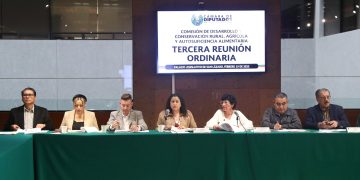 Aprueba Comisión reforma que sustituye en ley el término “discapacitados” por “personas con discapacidad”
