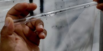 Refuerzan acciones en Veracruz contra el dengue