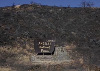 Los grandes incendios de Los Ángeles han sido contenidos por completo