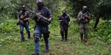 Catalogar a los cárteles como terroristas deja claro desconfianza de EU