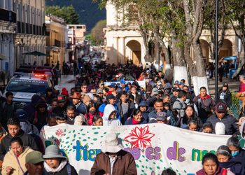 Ambientalistas exigen mayor protección para los humedales en el sureste de México
