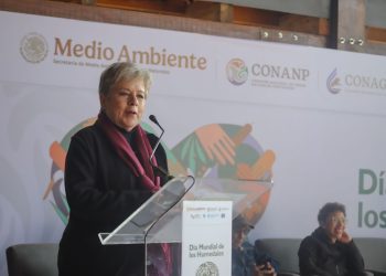 A evitar la construcción de obras que afectan los humedales, llama Alicia Bárcena