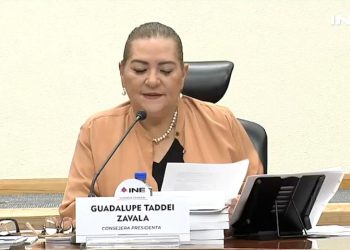 Aprueba INE lineamientos que prohíben el uso de imágenes de menores en las campañas