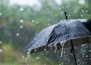 ¡No olvides el paraguas! Se prevén lluvias en varios estados del país