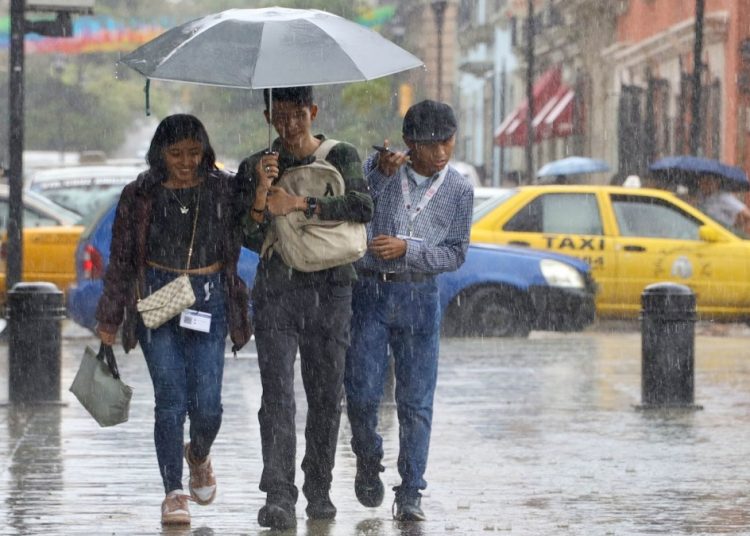 OAXACA, OAXACA, 21OCTUBRE2024.- Lluvias constantes se han registrado en la capital de Oaxaca y el resto de la entidad, debido a los remanentes de la tormenta tropical Nadine. La Coordinación Estatal de Protección Civil y Gestión de Riesgos informó que derivado de las lluvias se han registrado afectaciones en regiones como la Sierra Norte y el Istmo de Tehuantepec, además hizo un exhorto a la población a tomar medidas frente al temporal lluvioso. FOTO: CAROLINA JIMÉNEZ/CUARTOSCURO.COM