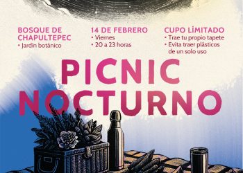¿Sin dinero para festejar el 14 de febrero? Ve al primer Picnic Nocturno 2025