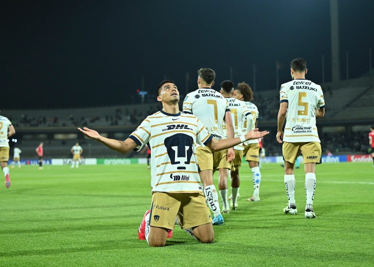 pumas