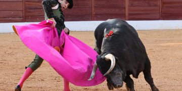 Celebran senadores del Partido Verde iniciativa para prohibir corridas de toros con violencia en CDMX