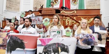 Brugada señala que la capital está comprometida con el bienestar animal
