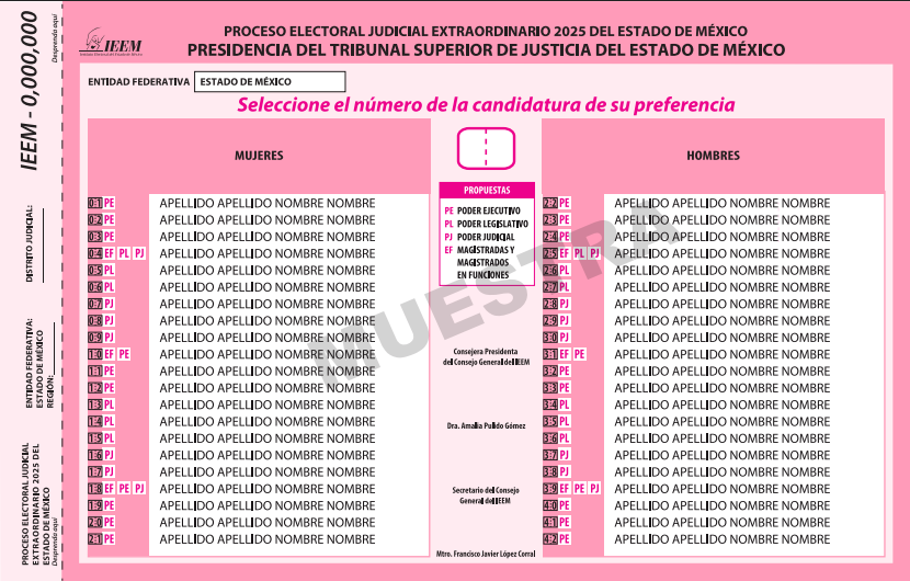 boleta rosa para elegir la Presidencia del Tribunal Superior de Justicia