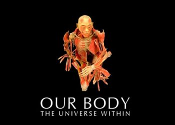 “Our Body”  un recorrido por el cuerpo humano. 