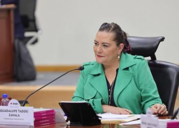 El INE aprobó el tope de gastos de campaña personal en 220, 336 pesos