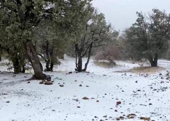 Reportan nevadas en sierra de Sonora