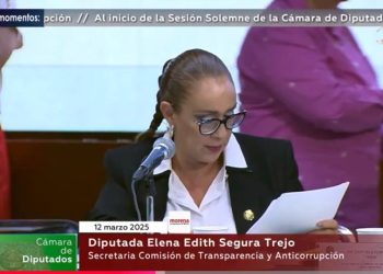 Crean diputados nuevas leyes para sustituir al INAI