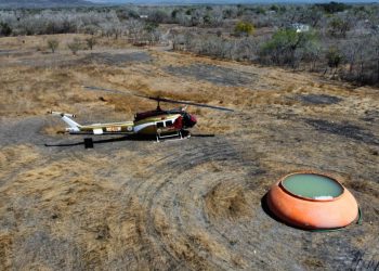 Incendio forestal afecta 1,400 hectáreas de selva en Tamaulipas