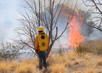 Sonora reporta reducción del 60% en incendios forestales